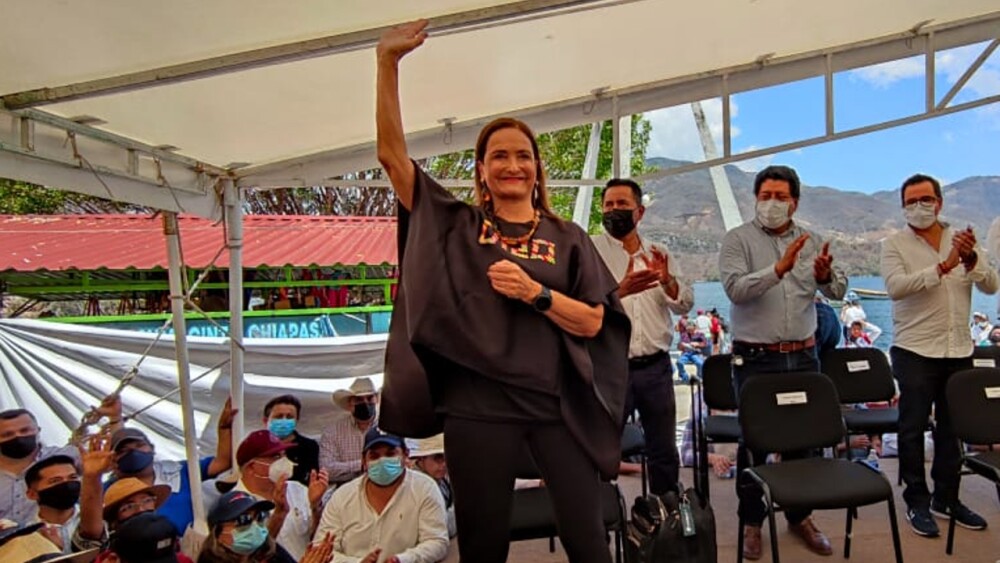 patricia-armendariz-conflicto-de-interes