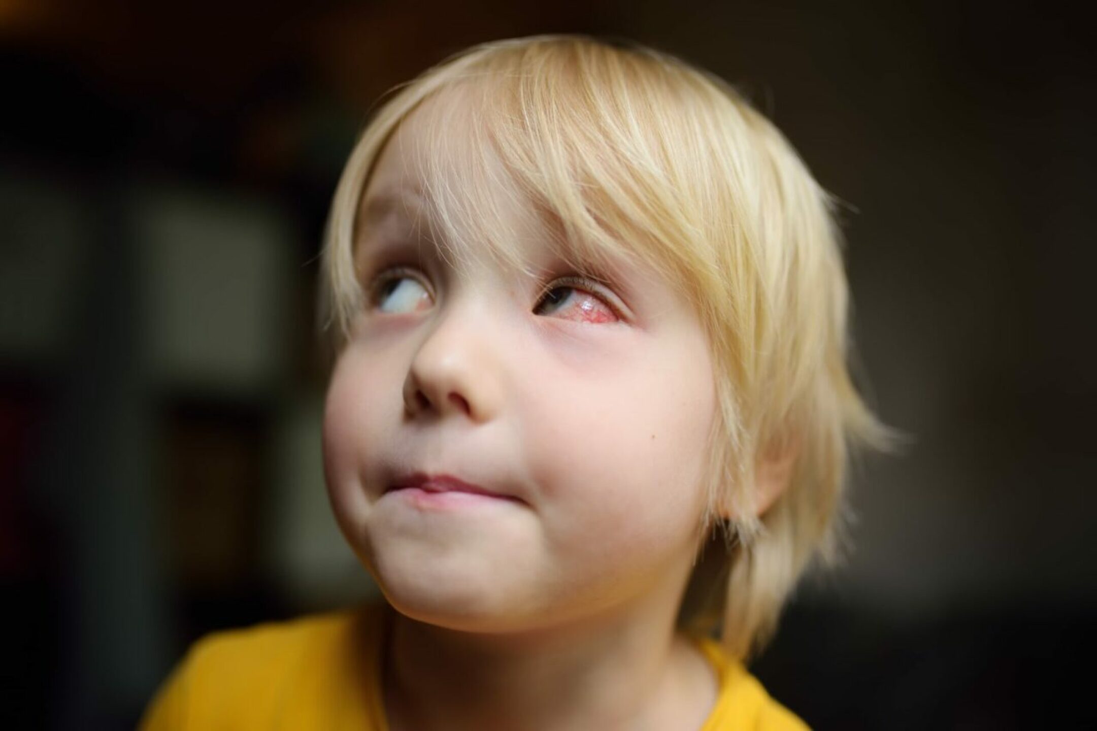 child-2022-11-11-18-36-15-utc-1-1280x853