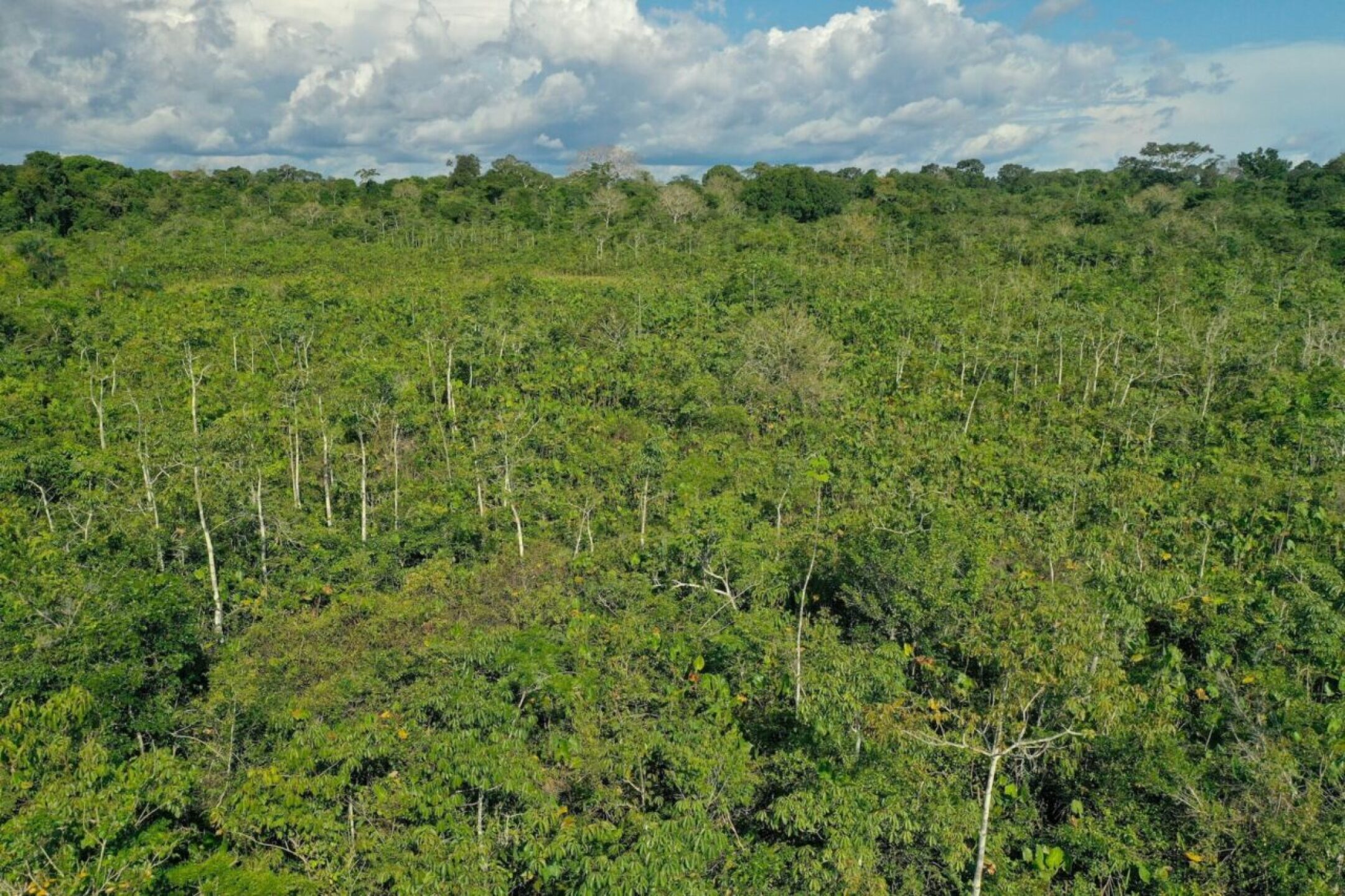 paisaje-varillas-1280x853