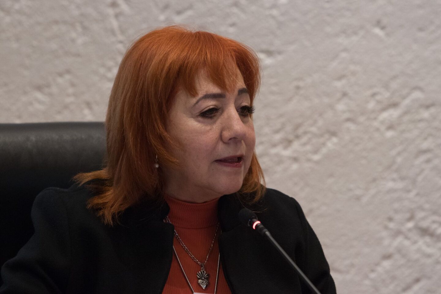 María del Rosario Piedra Ibarra, presidenta de la Comisión Nacional de Derechos Humanos (CNDH)