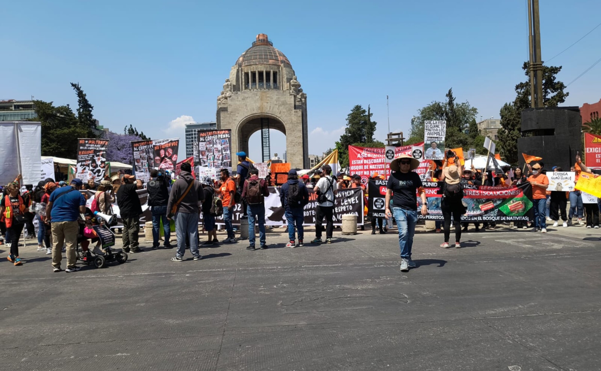 marcha-maltrato-animal-