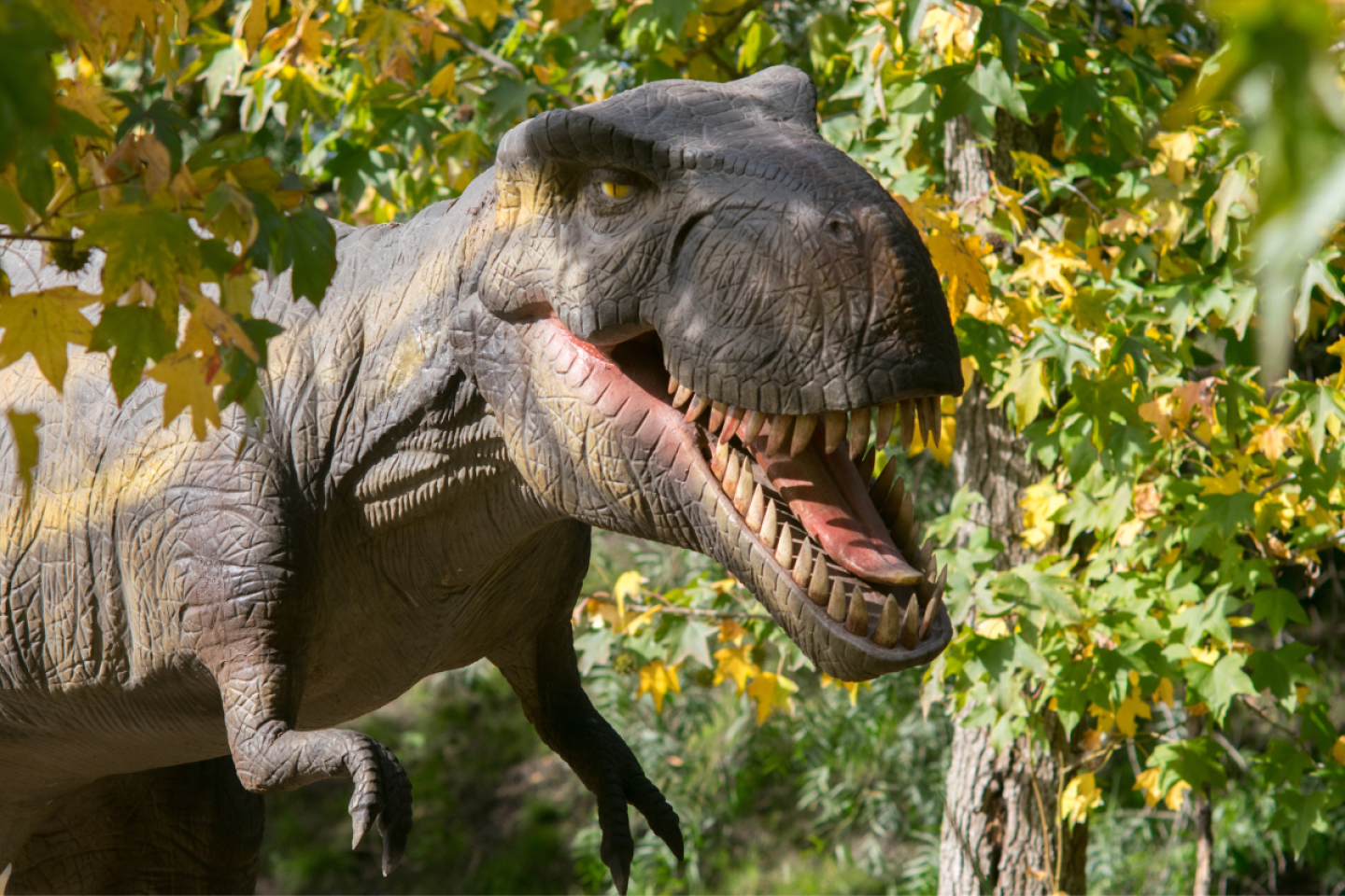 Tiranosaurio rex