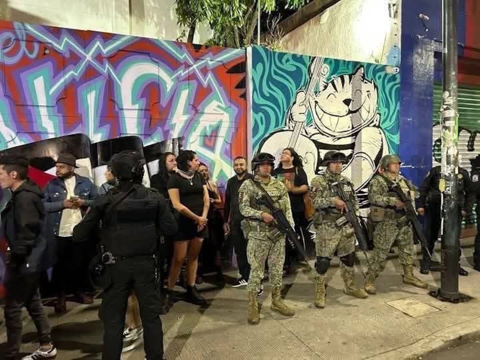 multiforo alicia .jpg