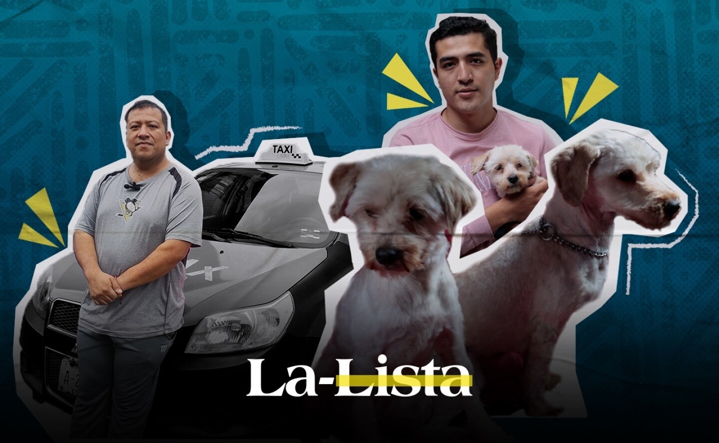 el taxi animalista ayuda a rescatar perros sin hogar