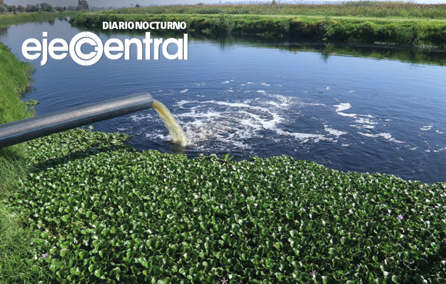 2-Promo-Portada-910-Las-especies-en-las-desembocaduras-de-los-ríos-están-contaminadas