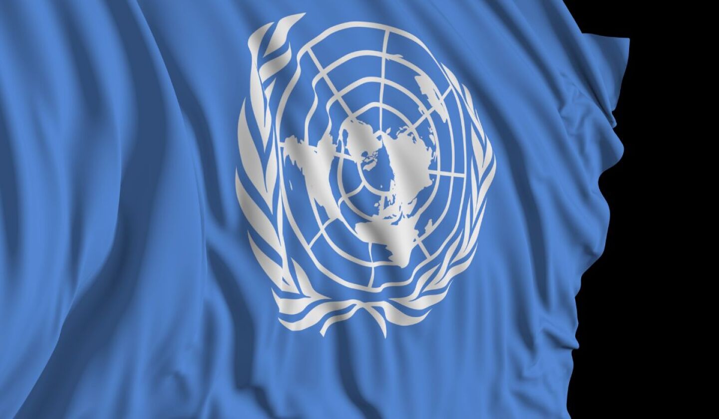 la ONU .jpg