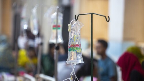 Declaran epidemia de dengue en la isla caribeña de Martinica