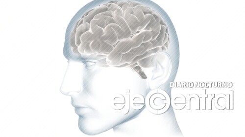 8-Promo-649_Dos-virus-los-responsables-del-Alzheimer