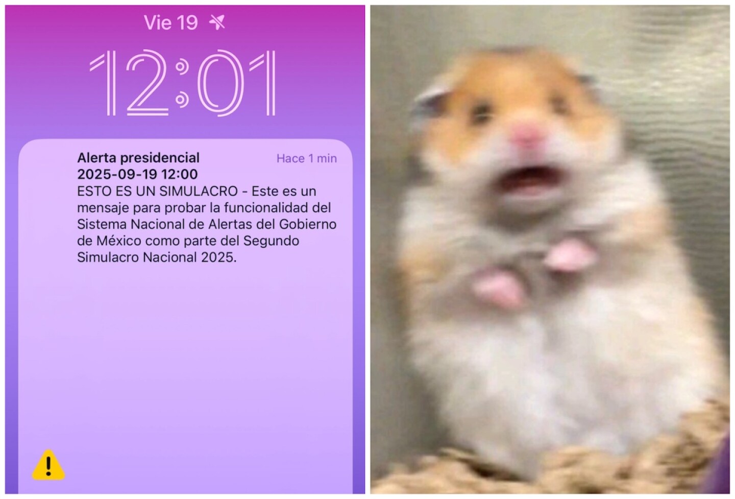 alerta simulacro.jpg
