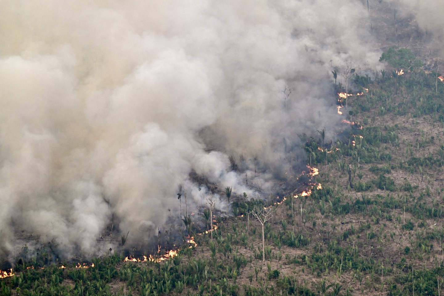 INCENDIOS BRASIL.png