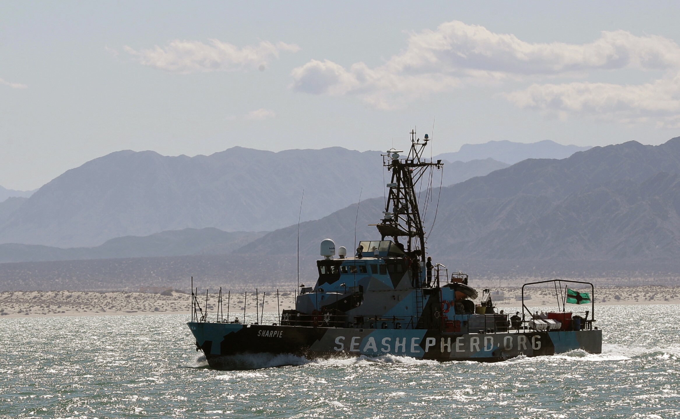 vaquita-marina-efe