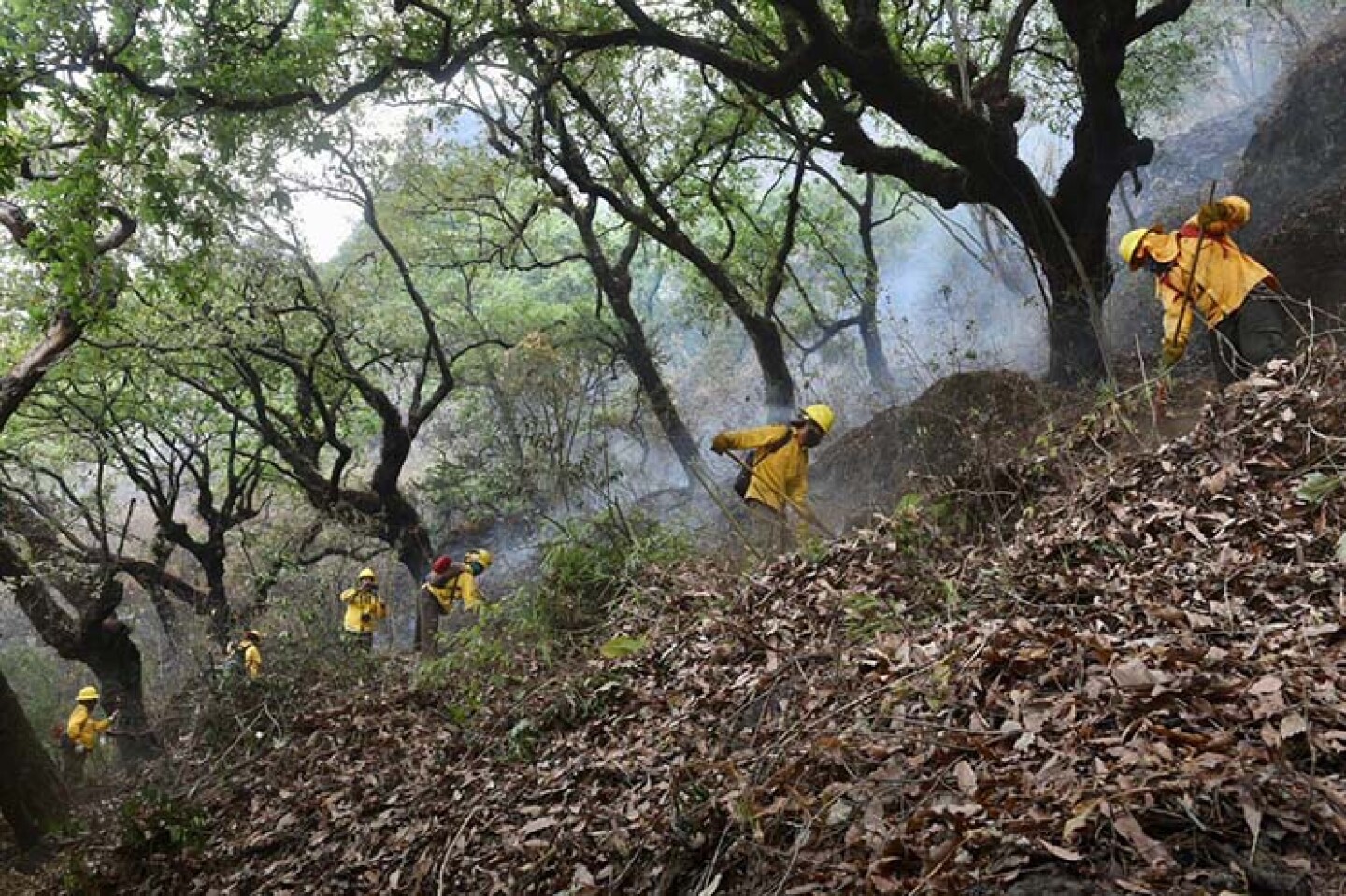 Incendio_Tepoztlán