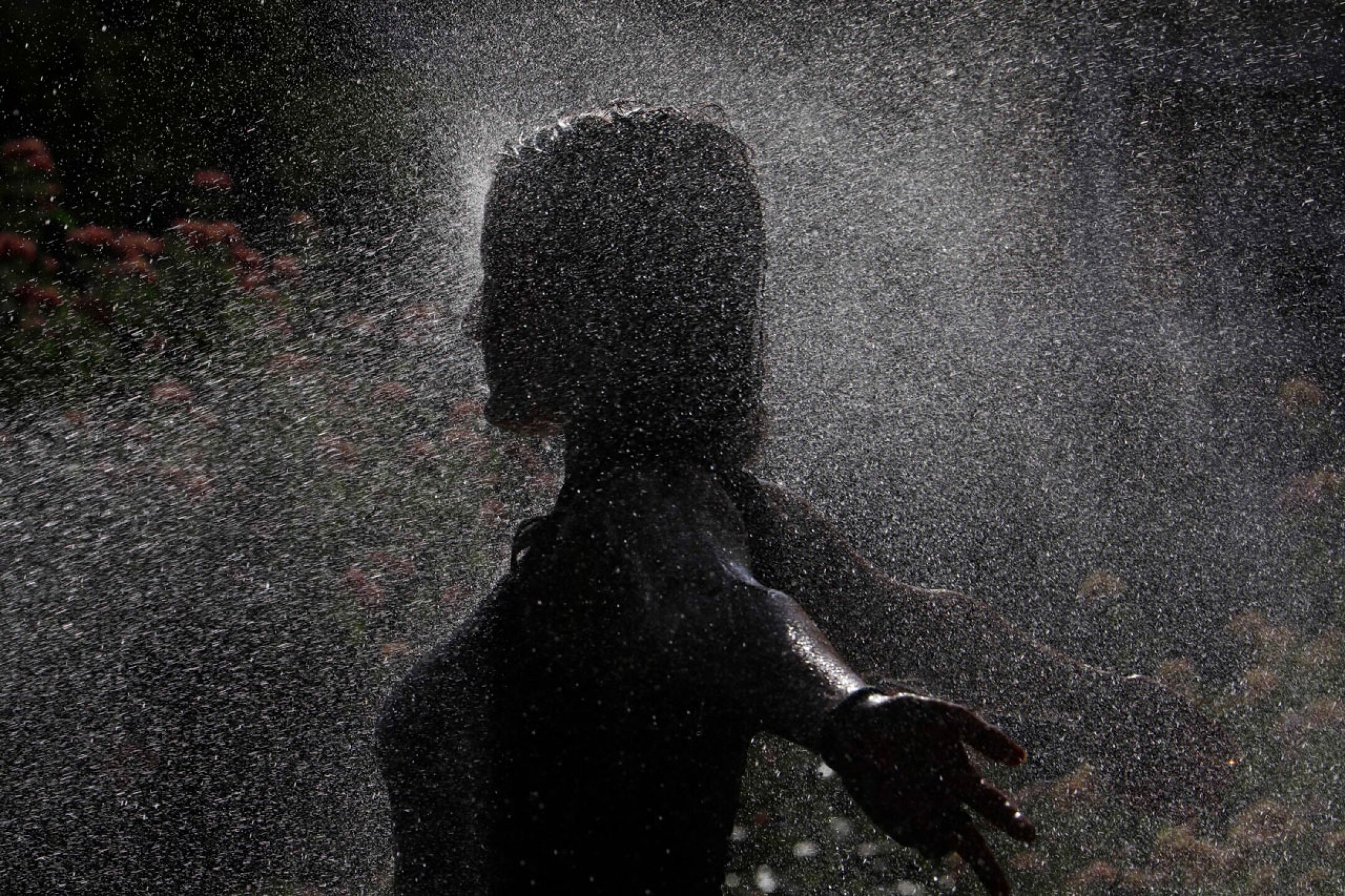 europa-ola-de-calor-incendios-cambio-climatico-3