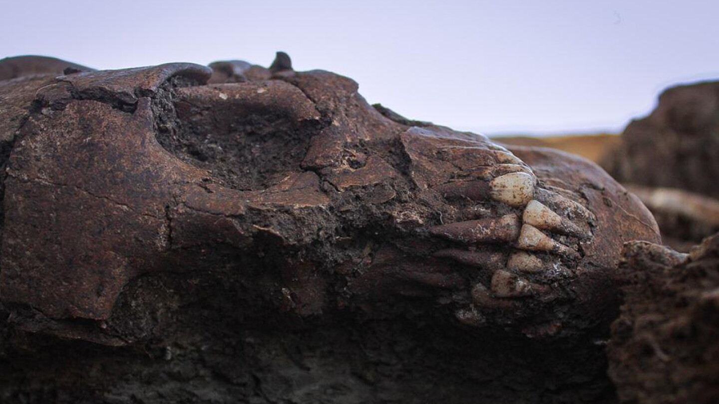 Pius Inah Halla INAH entierros humanos de más de mil años en Tamaulipas