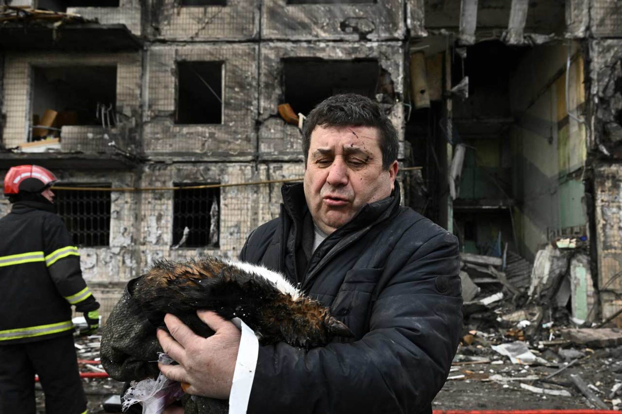 mascotas-guerra-ucrania-rusia-rescate-2