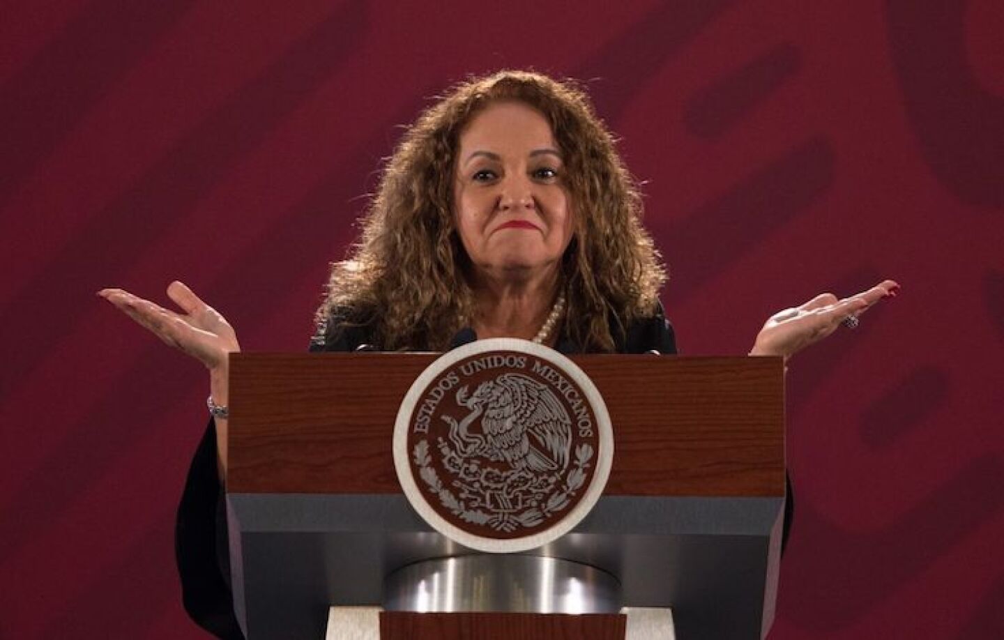 SANJUANA-MARTÍNEZ-CNDH