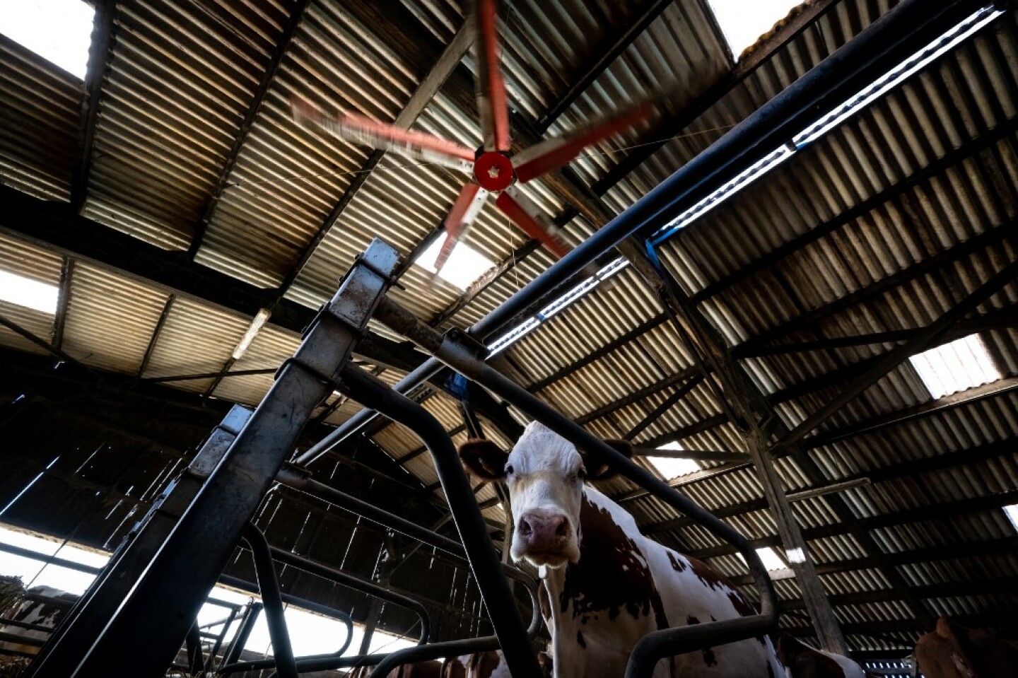 FRANCE-WEATHER-AGRICULTURE-HEAT