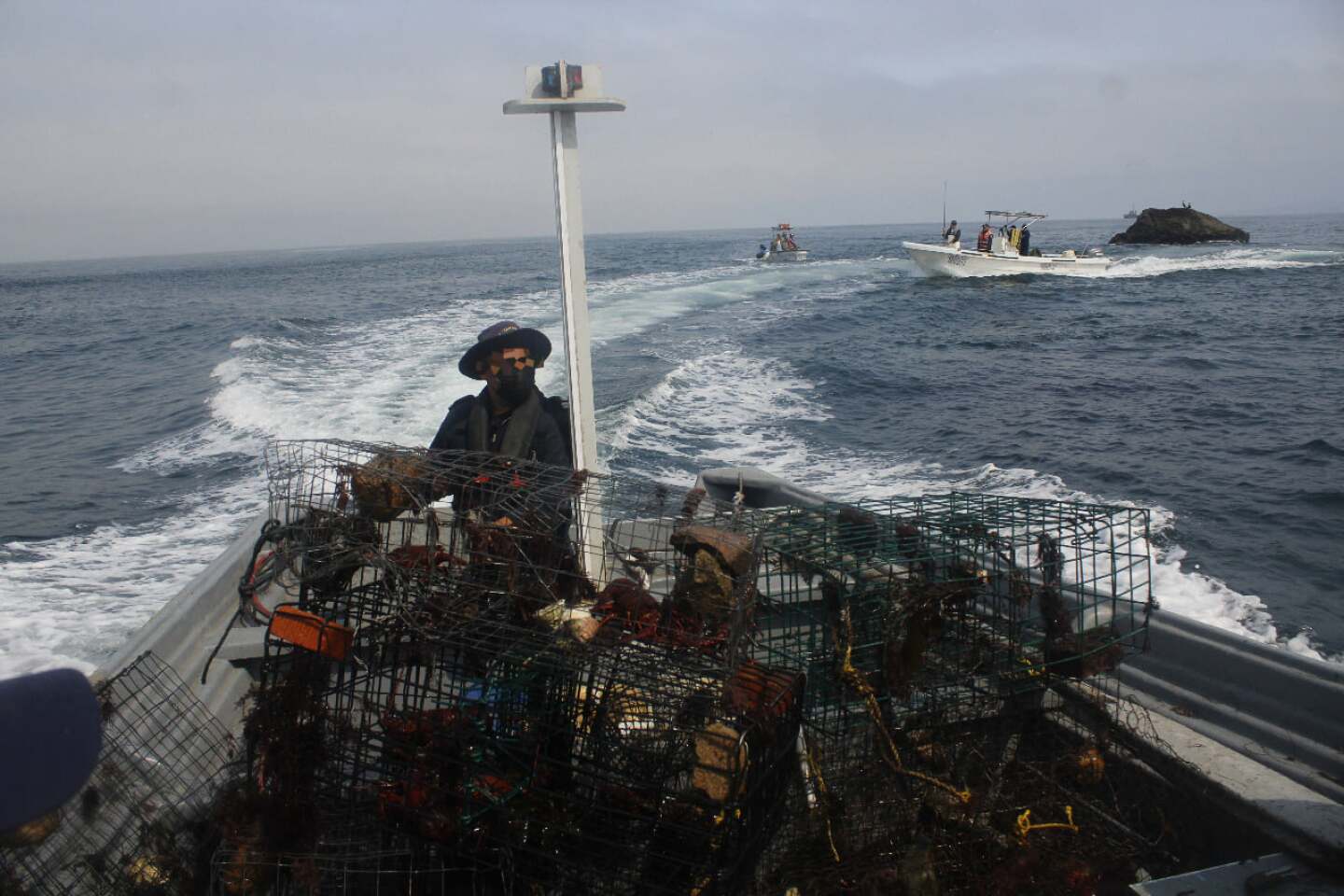pesca-ilegal-mexico