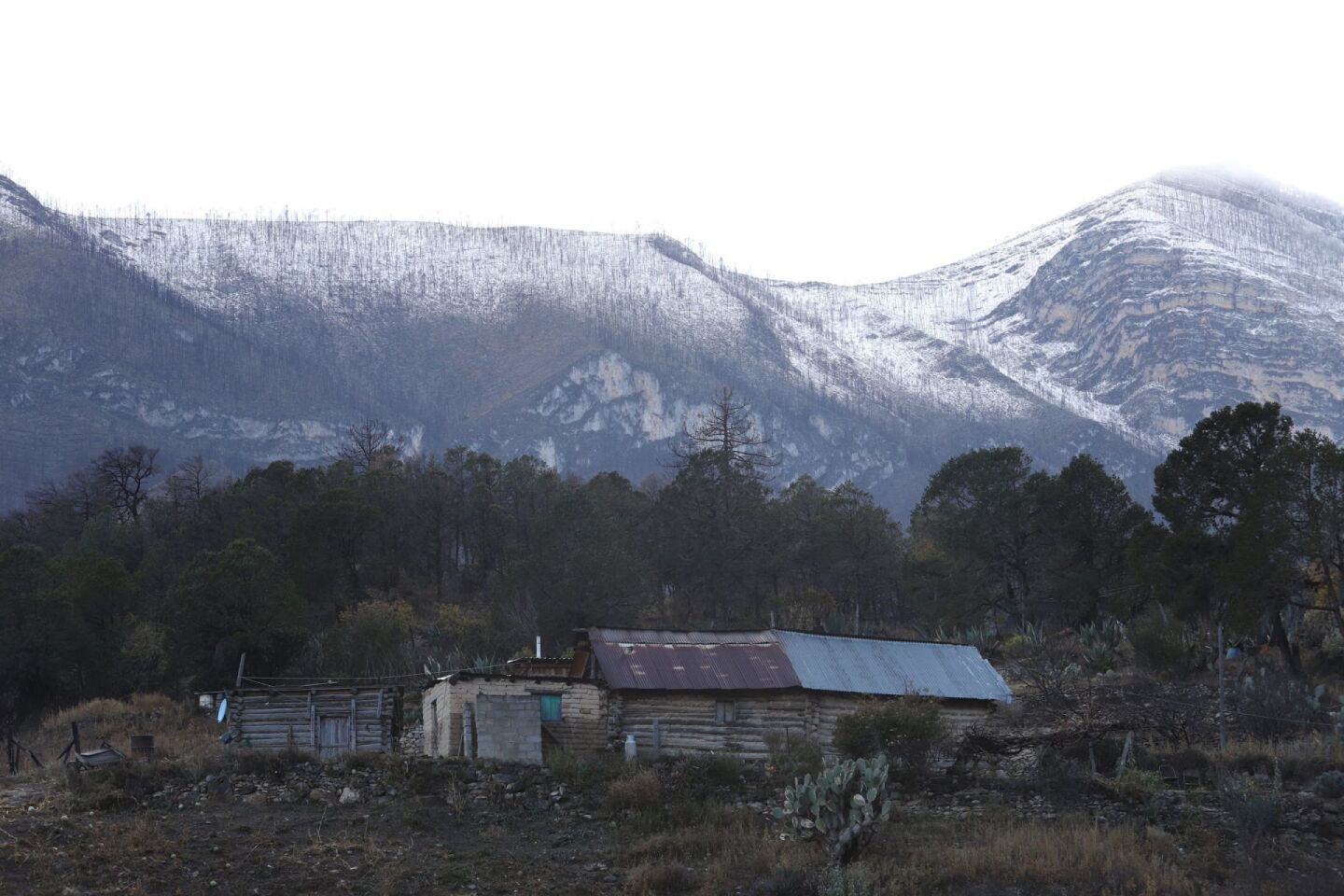 Con la llegada del Frente Frío Número 23 se reportaron este viernes caída de agua nieve en la zona montañosa de las regiones Norte, Carbonífera y Sureste de Coahuila. El termómetro descendió hasta los cero grados.