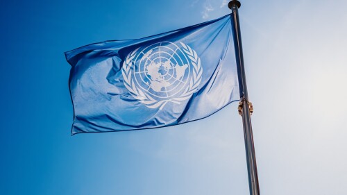 bandera ONU