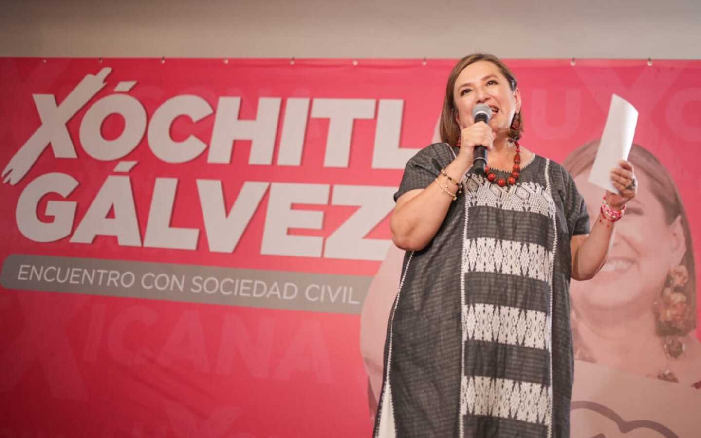 xochitl_galvez_suspension