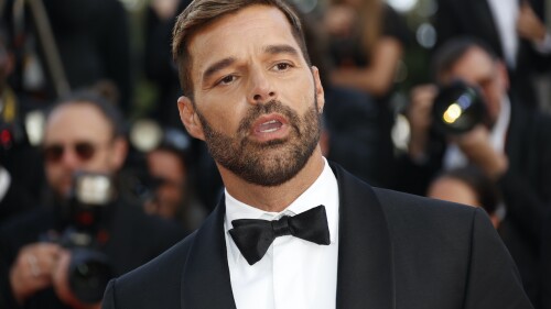 violencia-domestica-ricky-martin
