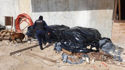 desaparecidos Quintana Roo