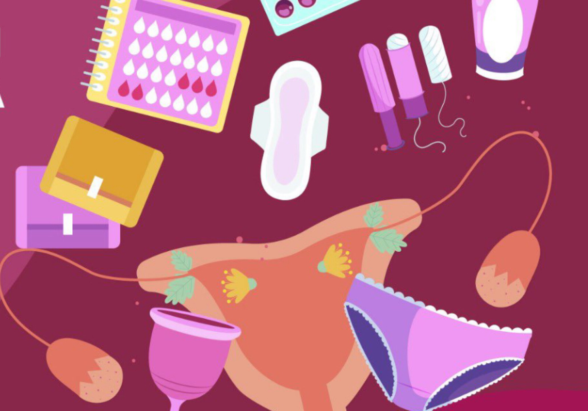 Estrategia Nacional por una Menstruación Digna en la Educación Básica y ...