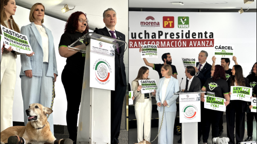 iniciativa ley pay de limón maltrato animal méxico 2025.png