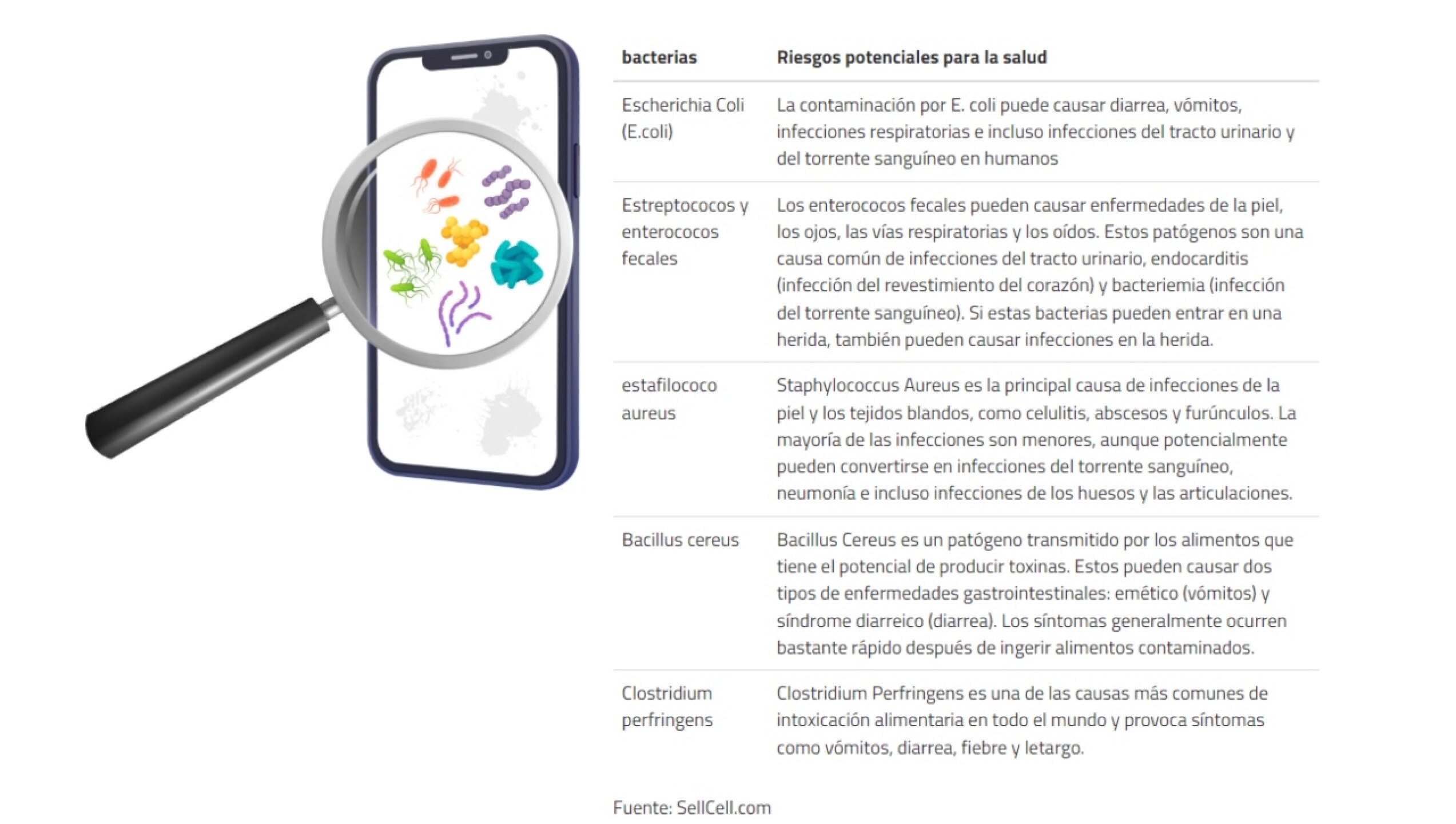 bacterias-estudio-telefonos-moviles-celulares
