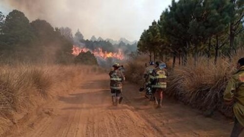nevado de toluca incendios forestales