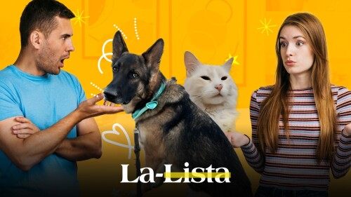 MASCOTAS_PERRIJOS_PERRHIJOS_GATOS_GATUNOS