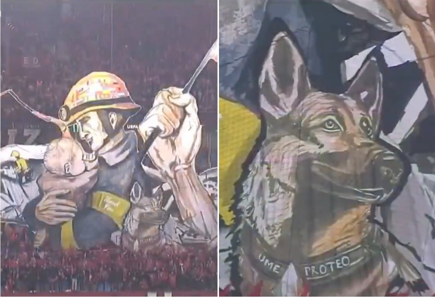 proteo-tifo-turquia-homenaje