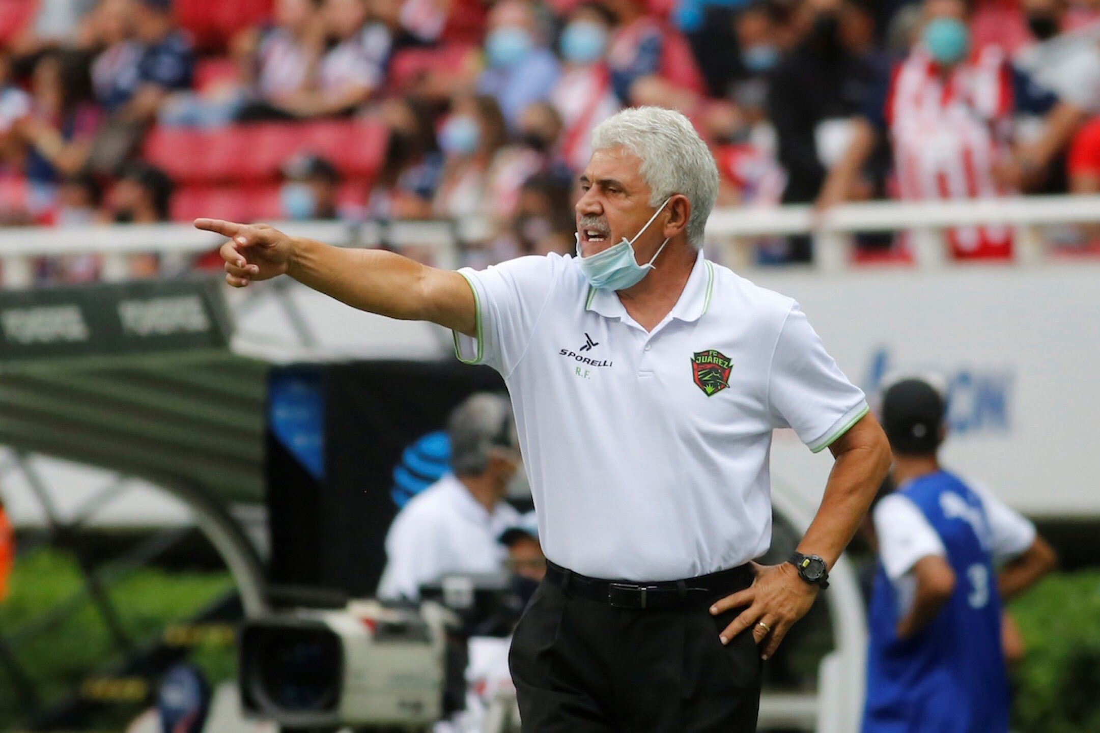 tuca-ferretti