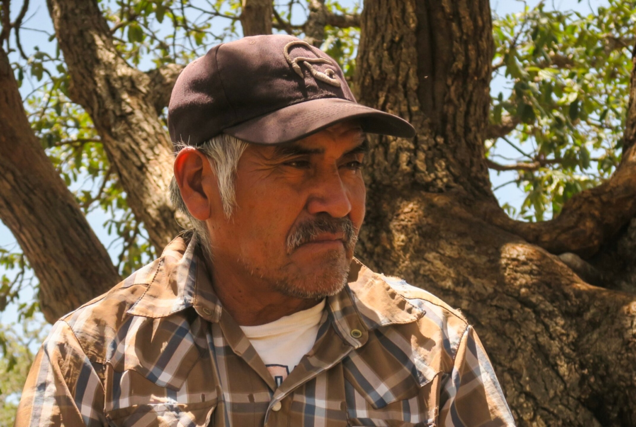 julian-carrillo-chihuahua