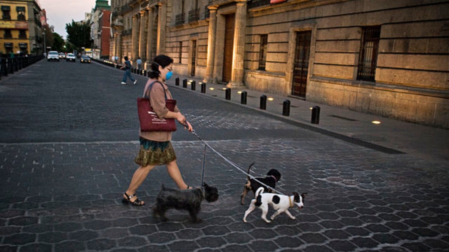 foto-para-nota-ley-de proteccion-animal
