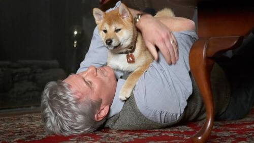 hachiko peliculas imperdibles de Richard Gere
