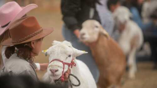 feria-de-queretaro-2023-cartelera