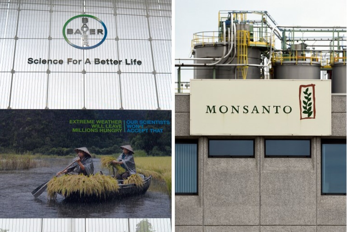 FILES-GERMANY-US-AGRONOMY-CHEMICALS-MERGER-BAYER-MONSANTO