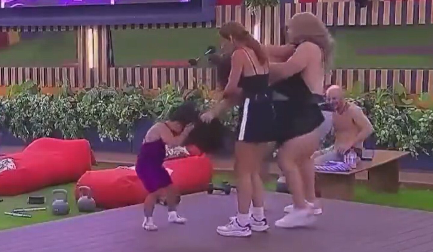 pelucas vuelan en la casa.jpg