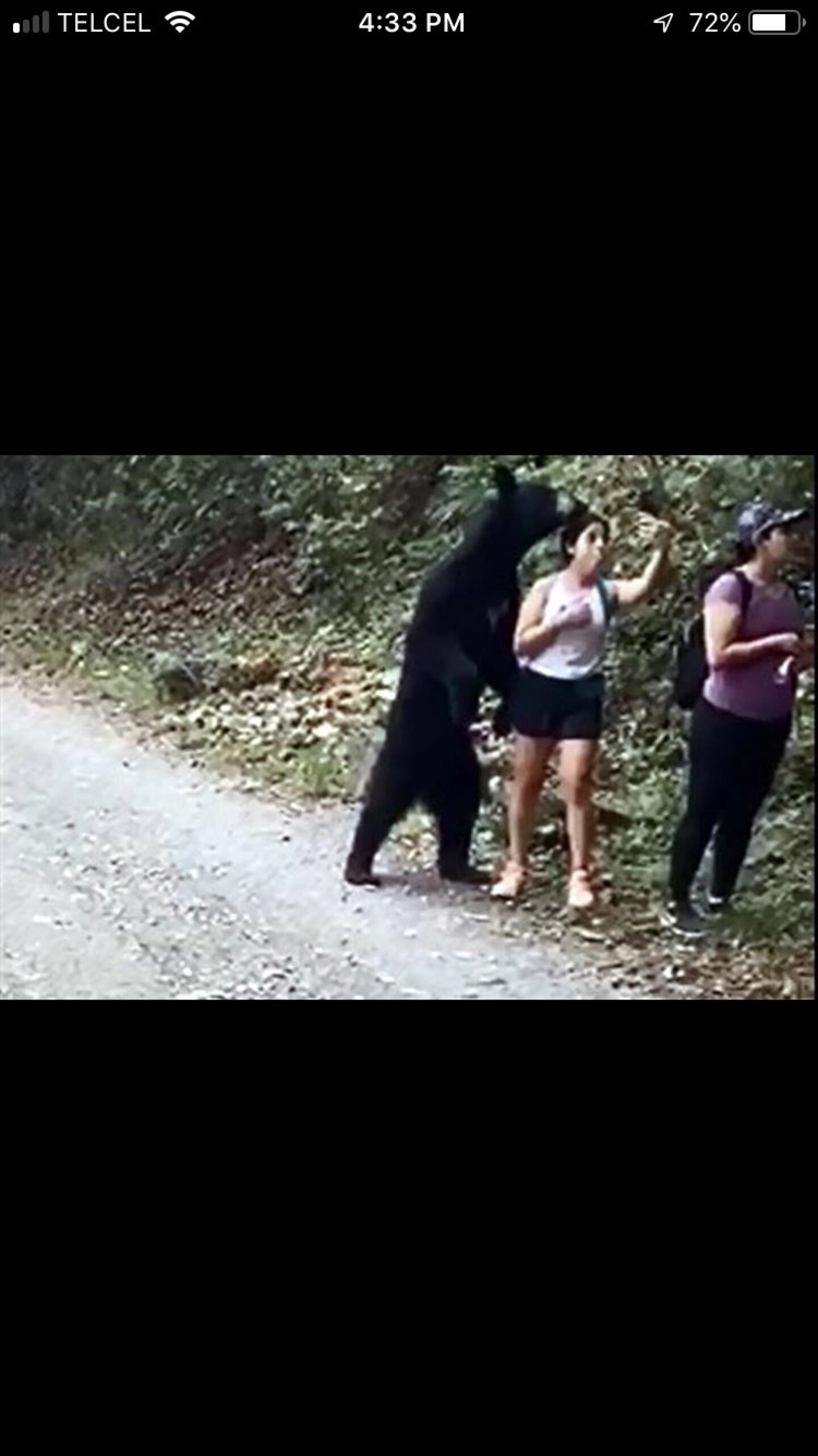 ¡Que susto! Mujer se toma selfie con oso