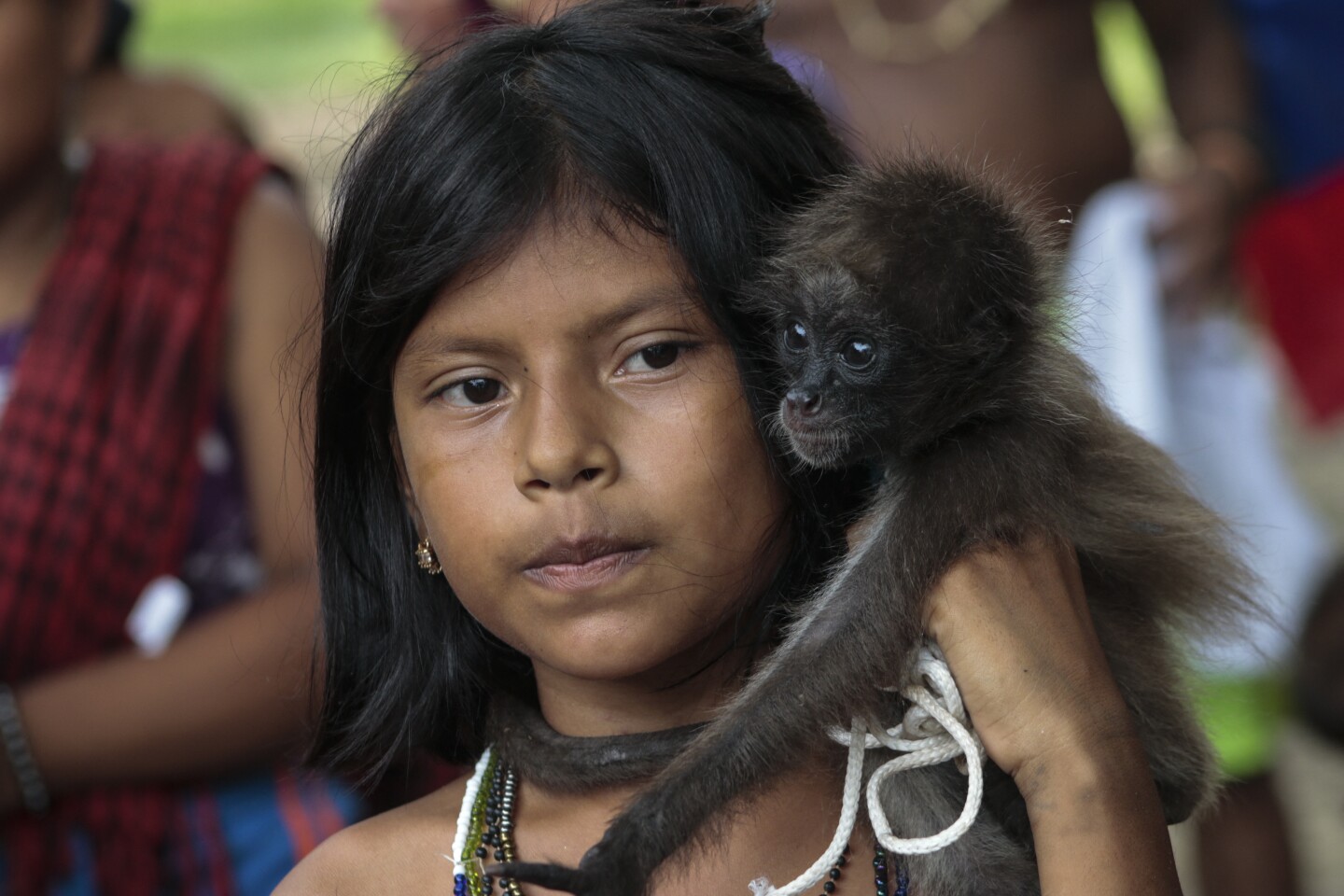 COLOMBIA-INDIGENOUS-CONFLICT-LAND-LEADERS