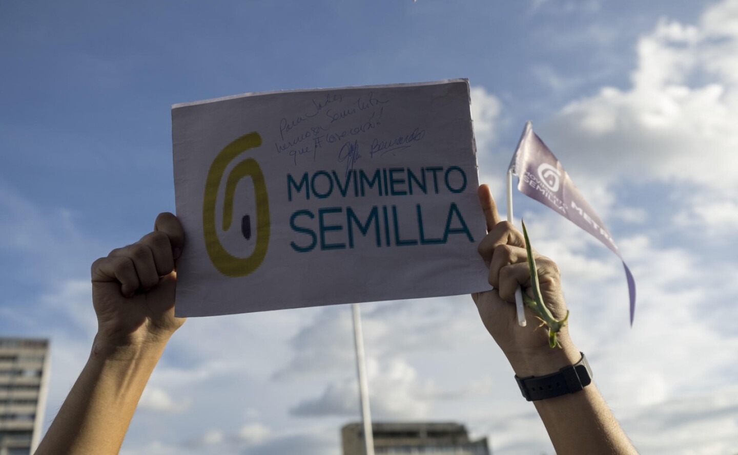 movimiento-semilla