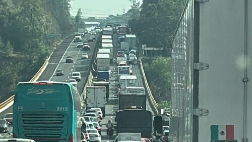 chamapa-lecheria-hoy