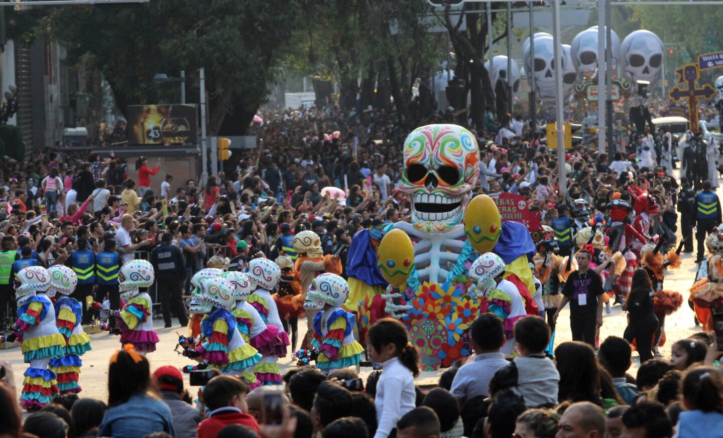 DESFILE CUARTO OSCURO