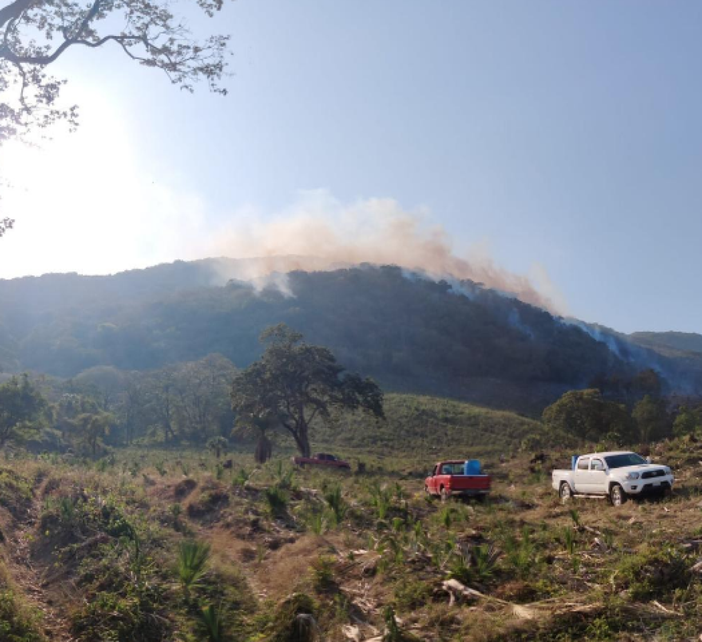 Captura de pantalla 2021-03-17 a la(s) 23.21.38