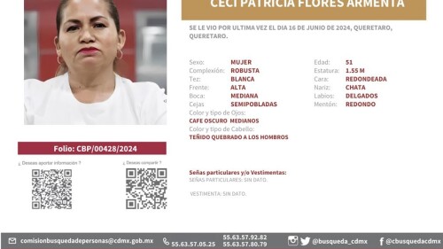 ficha-busqueda-ceci-flores