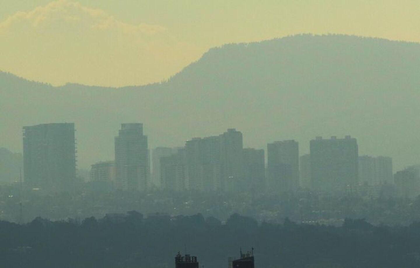 Contaminación en la Ciudad Hoy (3)