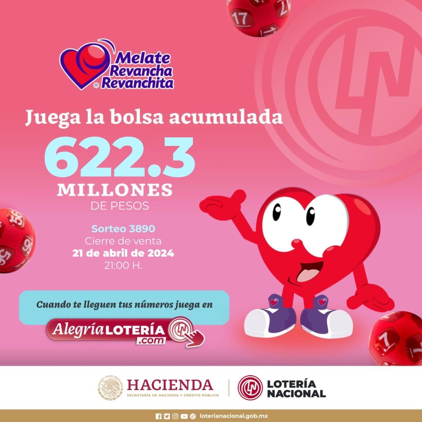 bolsa-melate-revancharevanchita-3890