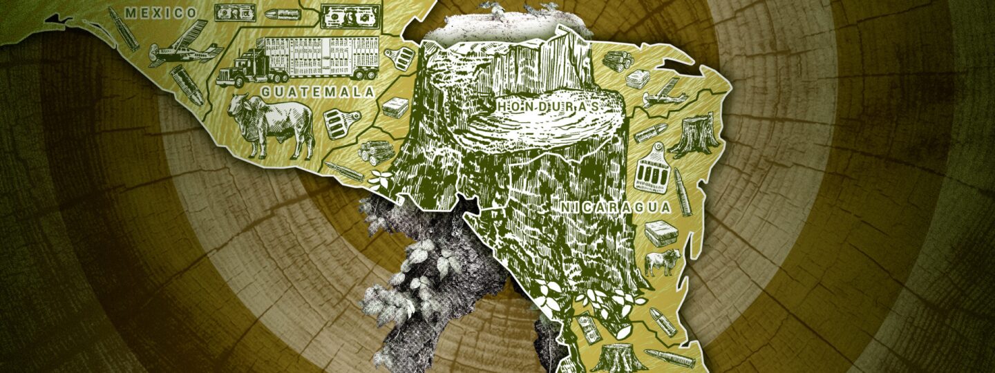 selva de honduras
